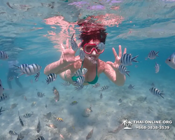 Underwater Odyssey snorkeling excursion in Pattaya Thailand photo 462