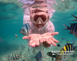 Underwater Odyssey snorkeling tour from Pattaya Thailand photo 14432