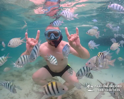 Underwater Odyssey snorkeling excursion in Pattaya Thailand photo 97