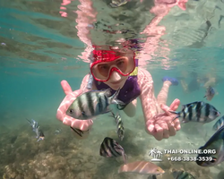 Underwater Odyssey snorkeling excursion Pattaya Thailand photo 19445