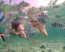 Underwater Odyssey snorkeling tour from Pattaya Thailand photo 18291