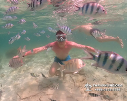 Underwater Odyssey snorkeling tour from Pattaya Thailand photo 18371