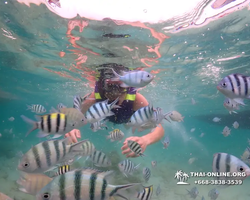 Underwater Odyssey snorkeling excursion in Pattaya Thailand photo 34