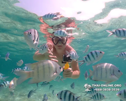 Underwater Odyssey snorkeling tour from Pattaya Thailand photo 18304