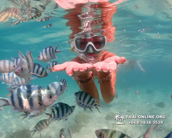 Underwater Odyssey snorkeling tour from Pattaya Thailand photo 14378