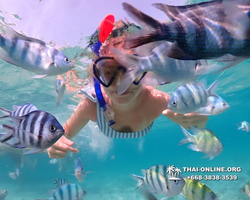 Underwater Odyssey snorkeling excursion Pattaya Thailand photo 11007