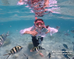 Underwater Odyssey snorkeling excursion in Pattaya Thailand photo 460