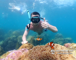 Underwater Odyssey snorkeling excursion Pattaya Thailand photo 11578