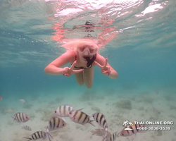 Underwater Odyssey snorkeling excursion in Pattaya Thailand photo 225