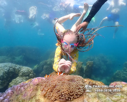 Underwater Odyssey snorkeling excursion Pattaya Thailand photo 11523