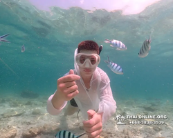 Underwater Odyssey snorkeling tour from Pattaya Thailand photo 18749