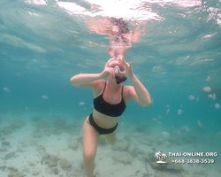 Underwater Odyssey snorkeling excursion in Pattaya Thailand photo 246