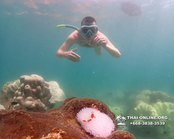 Underwater Odyssey snorkeling excursion Pattaya Thailand photo 19578