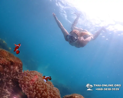 Underwater Odyssey snorkeling excursion in Pattaya Thailand photo 1047