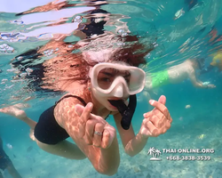 Underwater Odyssey snorkeling excursion Pattaya Thailand photo 11529