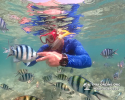 Underwater Odyssey snorkeling excursion Pattaya Thailand photo 14730