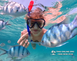 Underwater Odyssey snorkeling excursion Pattaya Thailand photo 11020