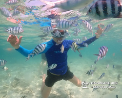 Underwater Odyssey snorkeling excursion Pattaya Thailand photo 14869