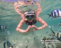 Underwater Odyssey snorkeling excursion Pattaya Thailand photo 19246