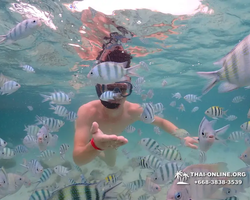 Underwater Odyssey snorkeling excursion in Pattaya Thailand photo 47