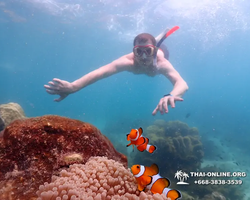 Underwater Odyssey snorkeling excursion in Pattaya Thailand photo 518