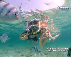 Underwater Odyssey snorkeling tour from Pattaya Thailand photo 18437