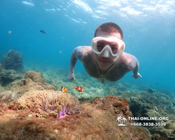 Underwater Odyssey snorkeling excursion Pattaya Thailand photo 11457