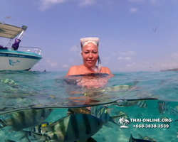 Underwater Odyssey snorkeling excursion Pattaya Thailand photo 11317