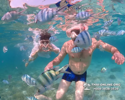 Underwater Odyssey snorkeling excursion Pattaya Thailand photo 11302