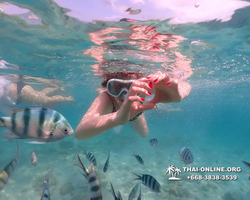 Underwater Odyssey snorkeling tour from Pattaya Thailand photo 14302