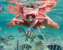 Underwater Odyssey snorkeling tour from Pattaya Thailand photo 14170