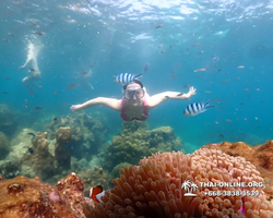 Underwater Odyssey snorkeling tour from Pattaya Thailand photo 14358