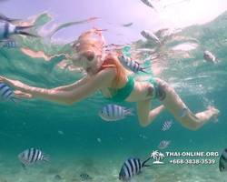 Underwater Odyssey snorkeling tour from Pattaya Thailand photo 18470