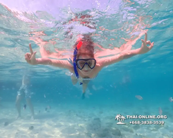 Underwater Odyssey snorkeling excursion Pattaya Thailand photo 11025