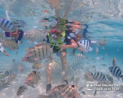 Underwater Odyssey snorkeling excursion in Pattaya Thailand photo 784