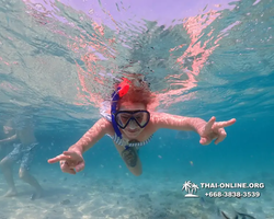 Underwater Odyssey snorkeling excursion Pattaya Thailand photo 11022