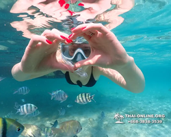 Underwater Odyssey snorkeling excursion Pattaya Thailand photo 14204