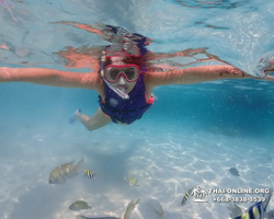 Underwater Odyssey snorkeling excursion in Pattaya Thailand photo 1003
