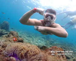 Underwater Odyssey snorkeling excursion Pattaya Thailand photo 11416