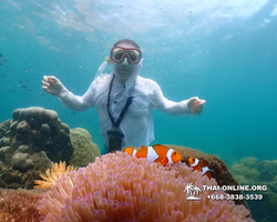 Underwater Odyssey snorkeling tour from Pattaya Thailand photo 18287