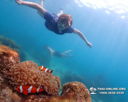 Underwater Odyssey snorkeling excursion in Pattaya Thailand photo 980