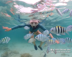 Underwater Odyssey snorkeling excursion in Pattaya Thailand photo 72