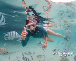 Underwater Odyssey snorkeling excursion in Pattaya Thailand photo 149