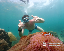 Underwater Odyssey snorkeling tour from Pattaya Thailand photo 18406