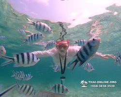 Underwater Odyssey snorkeling tour from Pattaya Thailand photo 18619