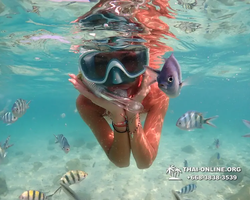 Underwater Odyssey snorkeling tour from Pattaya Thailand photo 14189