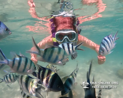 Underwater Odyssey snorkeling excursion Pattaya Thailand photo 19312