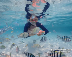 Underwater Odyssey snorkeling excursion in Pattaya Thailand photo 871