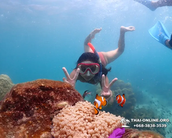 Underwater Odyssey snorkeling excursion in Pattaya Thailand photo 407