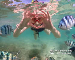 Underwater Odyssey snorkeling excursion Pattaya Thailand photo 19243